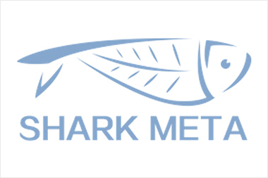 SharkMeta  企业元数据管理平台