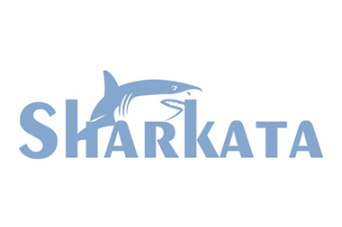 Sharkata 企业大数据管理及服务平台